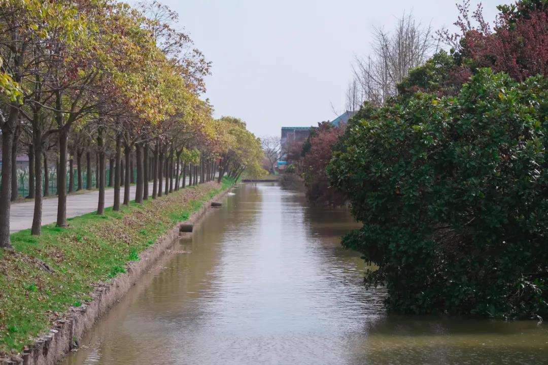 微信图片_20210409135420.jpg