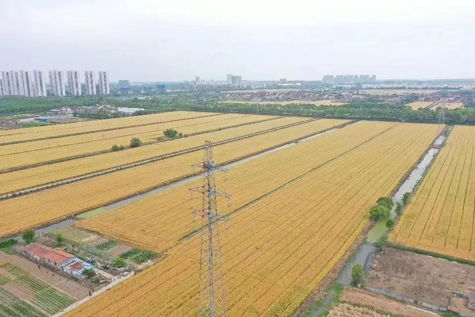 微信图片_20220530100109.jpg