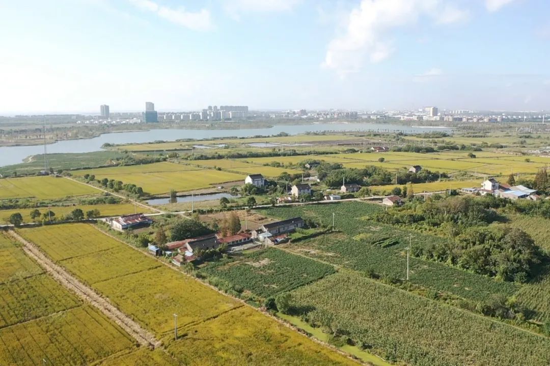 微信图片_20221017100502.jpg