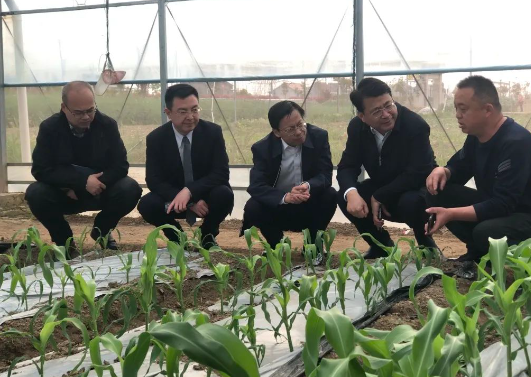 微信图片_20230417143052.png