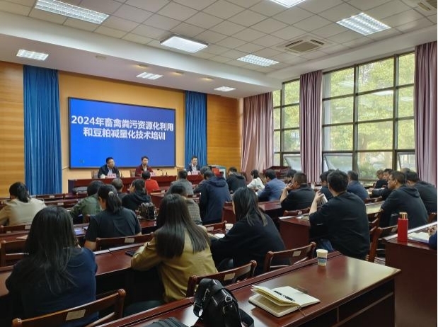 图片9.jpg