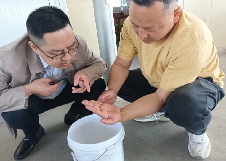 图片2.jpg