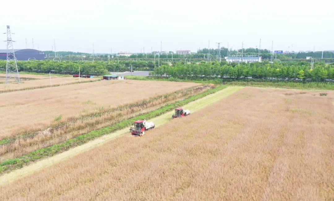 微信图片_20240618170908.jpg