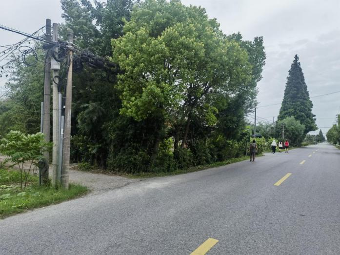 公路医生3.png