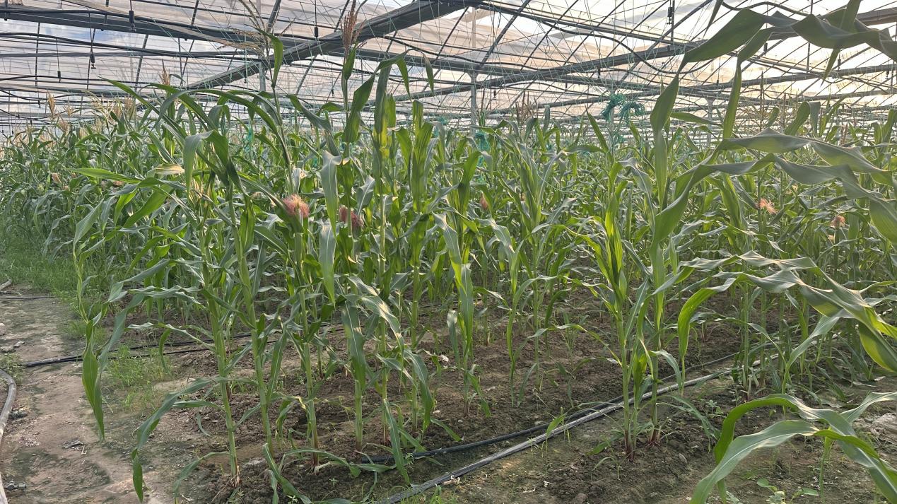 图片5.jpg 图片5.jpg