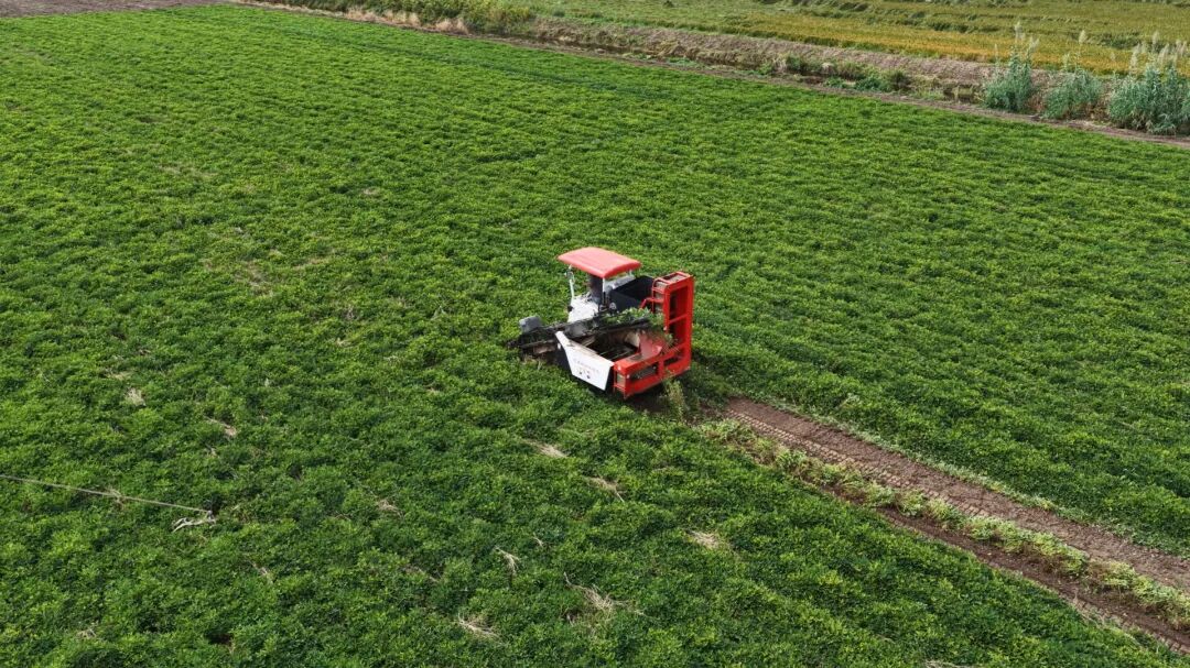 图片2.jpg 图片2.jpg