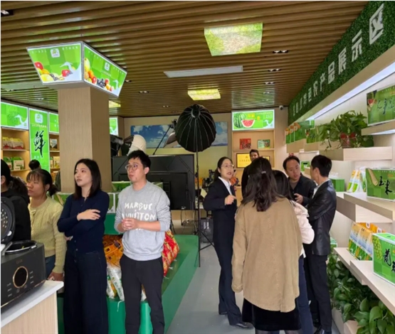 江苏省第五期“青马工程”农村班学员来海观摩交流