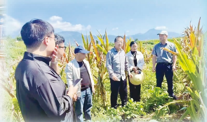 275c4d4b2ed18c2947d70c311fdff2d5.jpg 275c4d4b2ed18c2947d70c311fdff2d5.jpg