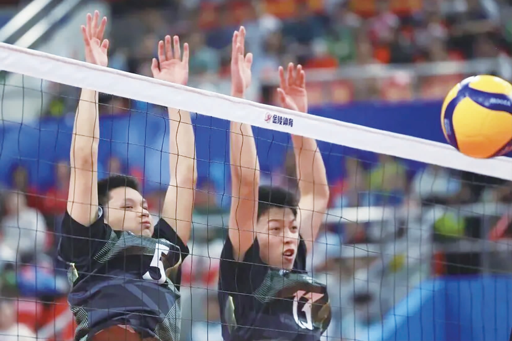 029eb0eb611fa5bbfd559c0584455729.jpg 029eb0eb611fa5bbfd559c0584455729.jpg