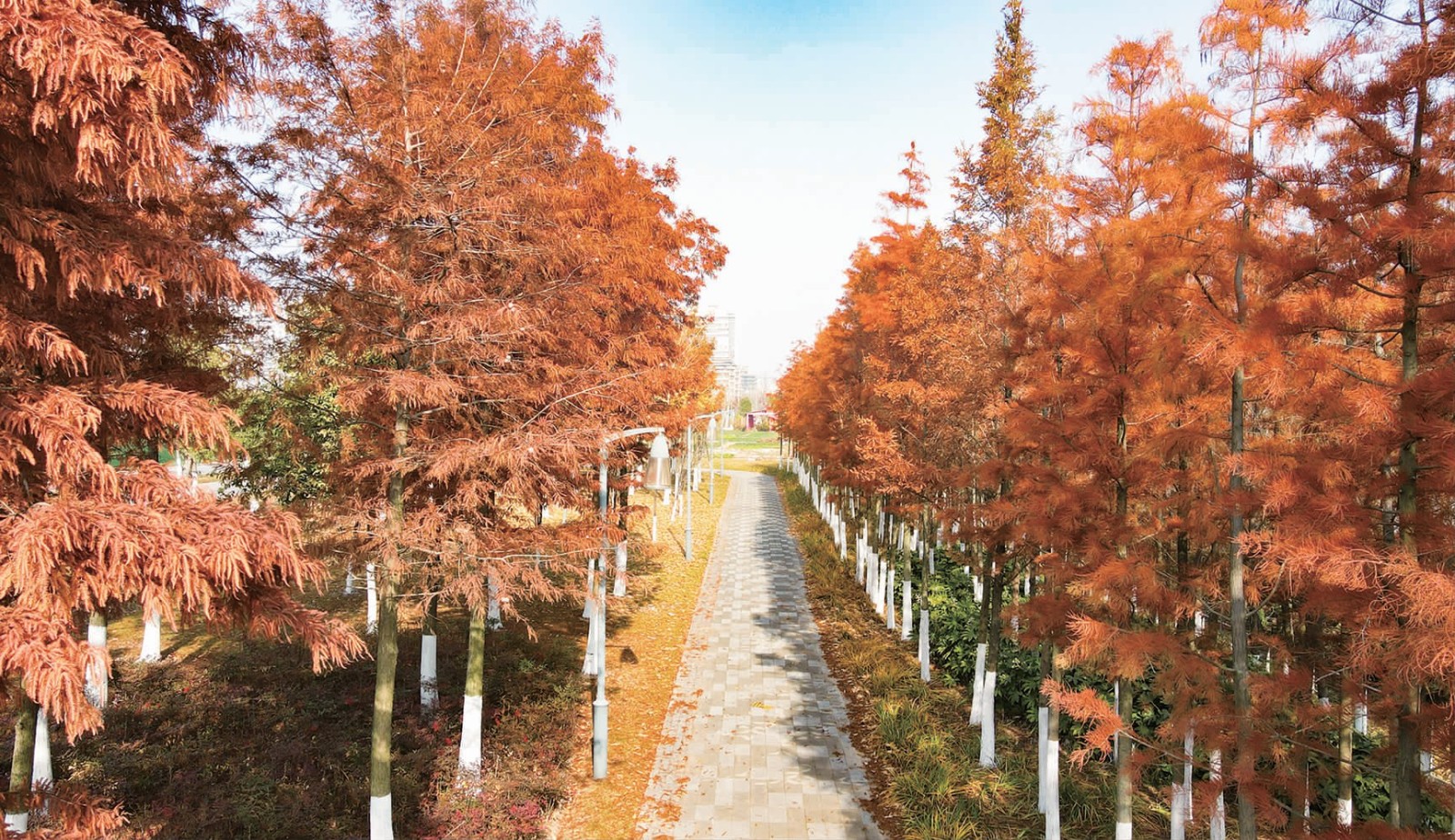 bb373d30e6857fe17d2ac0efedb638d2.jpg bb373d30e6857fe17d2ac0efedb638d2.jpg