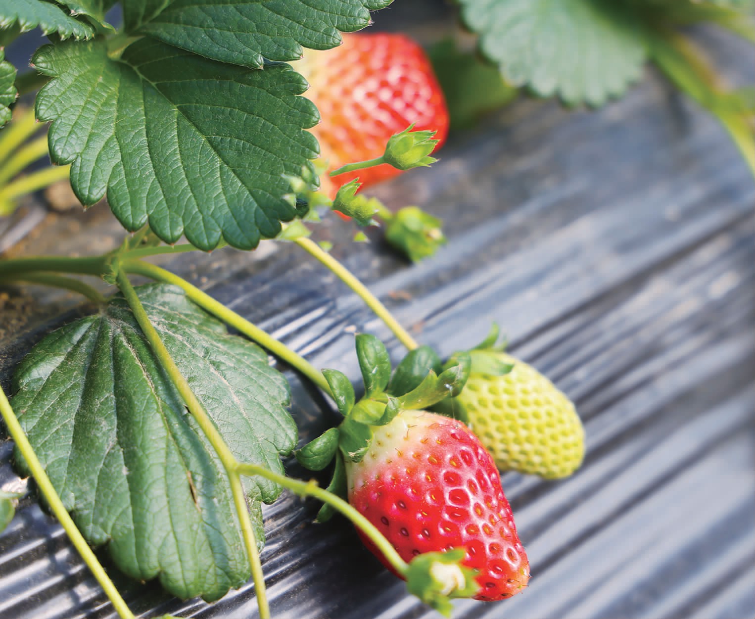 027ad4bf0d969b5195cb7d17fb9eb67d.jpg 027ad4bf0d969b5195cb7d17fb9eb67d.jpg