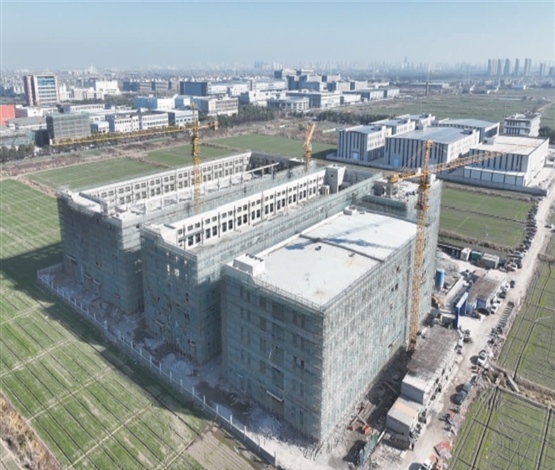 项目建设冲冲冲