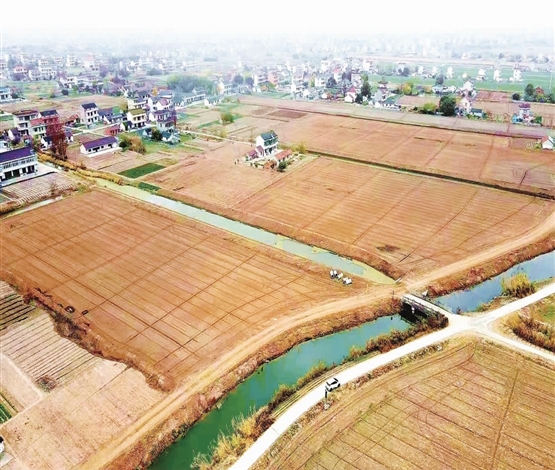 余东镇加力建设7900亩高标准农田