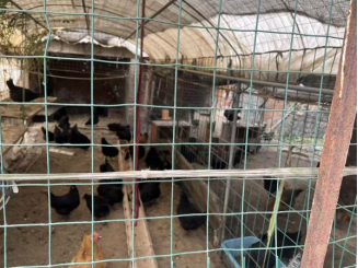 海门：  聚焦“房前屋后”，治理养殖污499.png