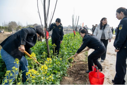 助企绿色发展 共树美好未来(1)(1)427.png