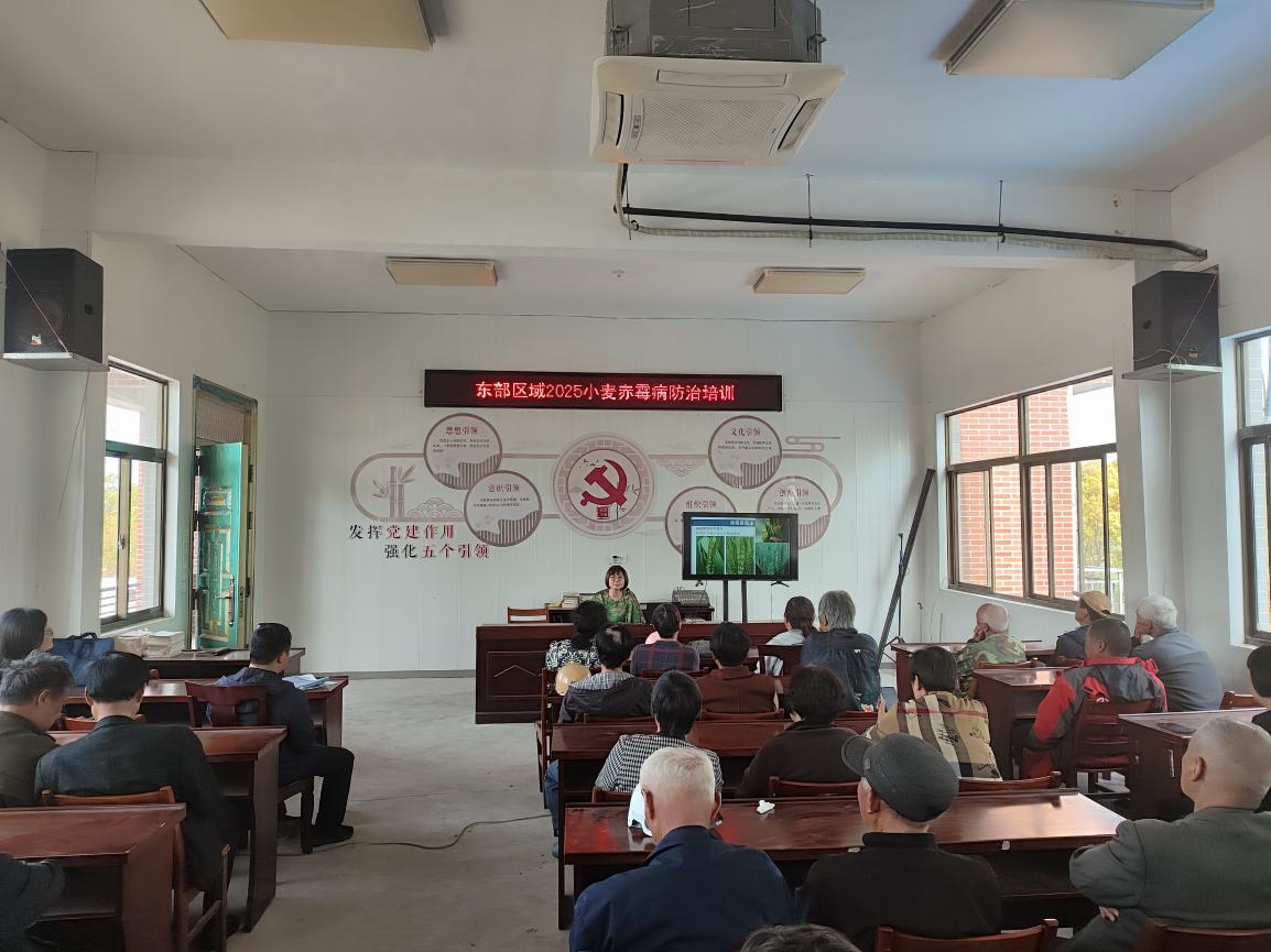 图片8.jpg