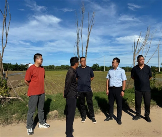 海永镇：战高温抗干旱保生产