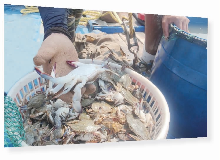 fed632b4cc51ee1c9060d3bcdcb60cfb.jpg fed632b4cc51ee1c9060d3bcdcb60cfb.jpg