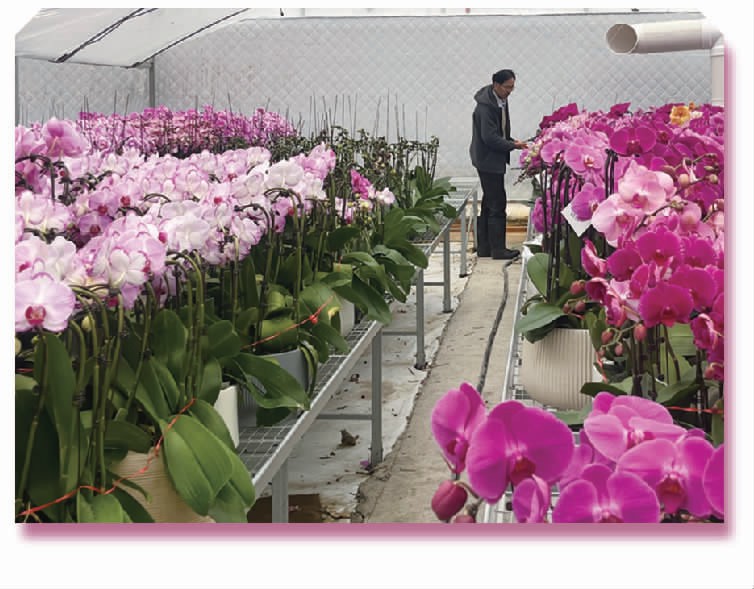 ce72626730038ffab16f2212245aad05.jpg ce72626730038ffab16f2212245aad05.jpg