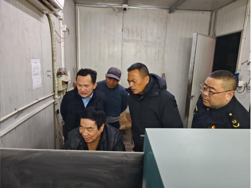 深夜驰援“把脉开方” 精准“抢救”脱硝设施 - 副本469.png