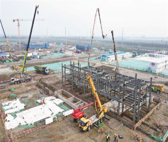 嘉吉粮油产业园桩基建设完成