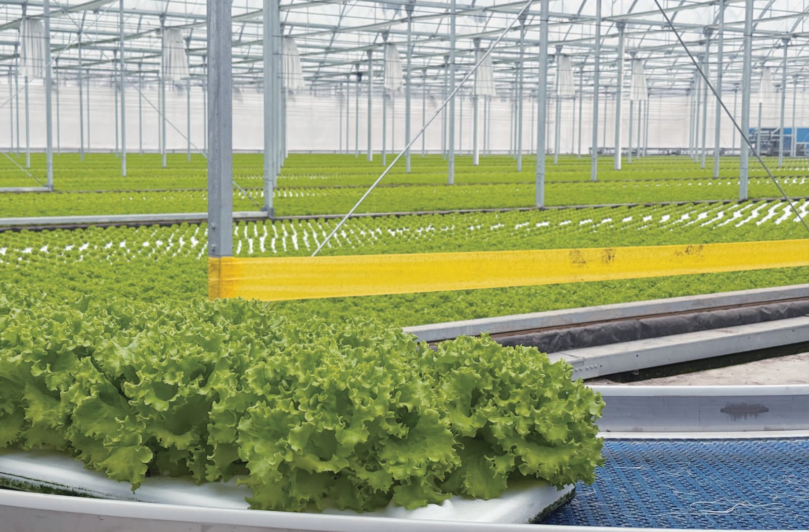 120861729e262e7f753388363d3eee50.jpg 120861729e262e7f753388363d3eee50.jpg