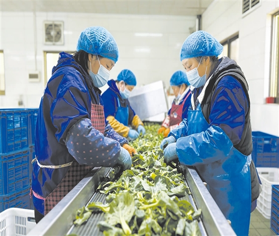 新时代强农惠农富农文章怎么写？