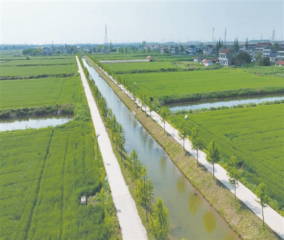 全区四级以下河道发包率过半