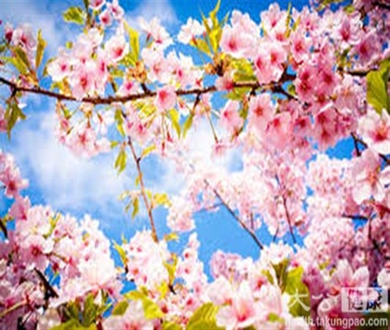 春季湿疹高发 如何防护是关键