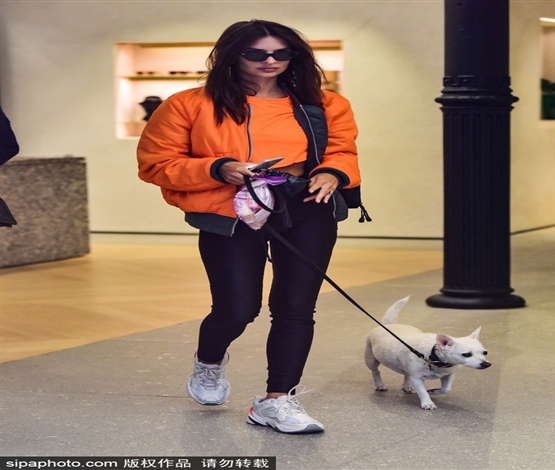 珊瑚色成2019流行色