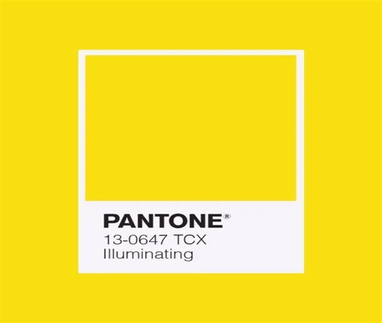 今年的流行色该怎么搭？