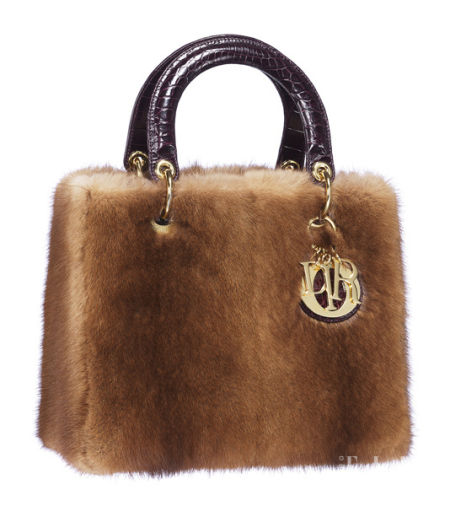 dior5