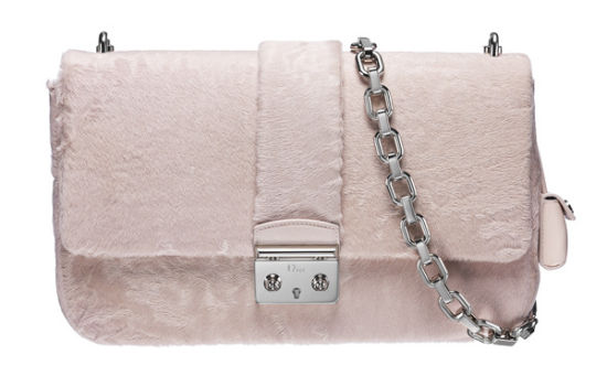 dior14