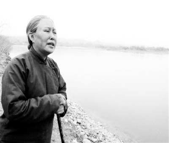 眷恋那棵老柿树