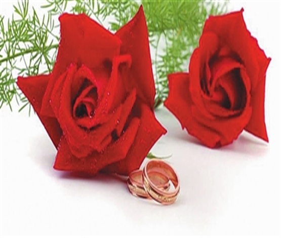 她的鲜花不是他送的