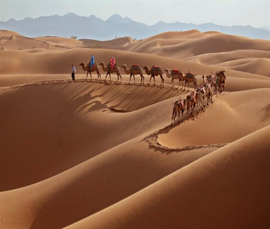 夜进腾格里沙漠