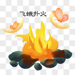 飞蛾扑火
